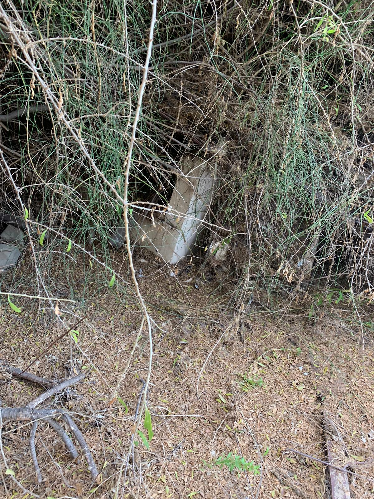 WhatsApp Image 2021-05-31 at 10.49.02 AM (2).jpeg